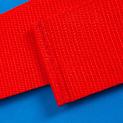 Aquatic Fitness Jogbelt Blue/Red